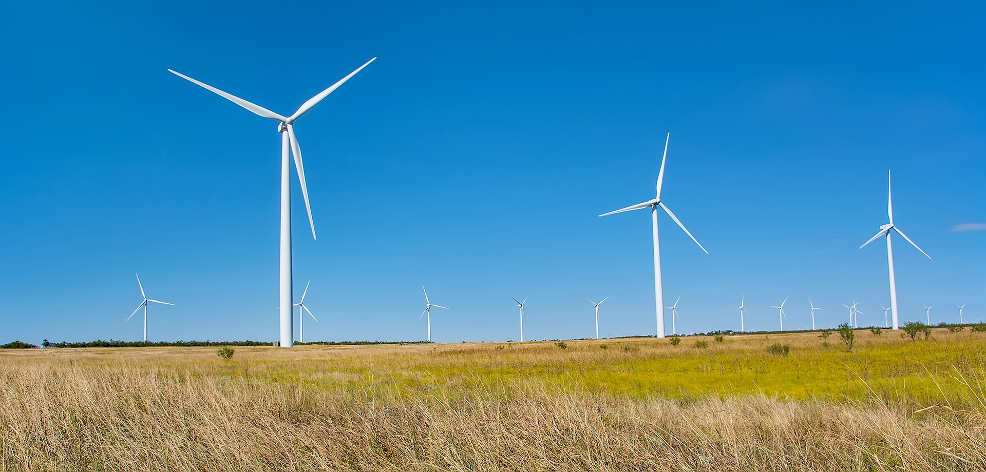 Wind Farm Wind Farm